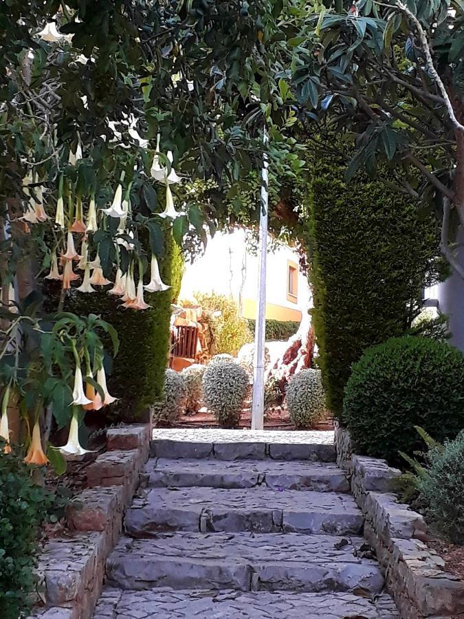 Aparte Wohnung Mit Sudterrasse Am Park Tavira Eksteriør bilde